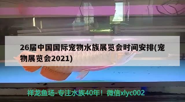 26屆中國(guó)國(guó)際寵物水族展覽會(huì)時(shí)間安排(寵物展覽會(huì)2021) 水族展會(huì)