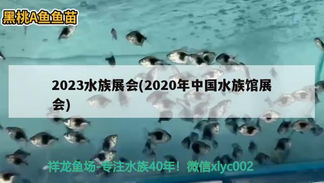 2023水族展會(2020年中國水族館展會)