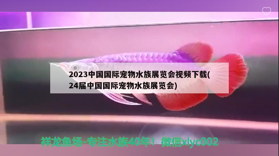 2023中國國際寵物水族展覽會視頻下載(24屆中國國際寵物水族展覽會) 水族展會