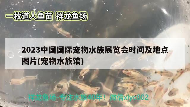 2023中國(guó)國(guó)際寵物水族展覽會(huì)時(shí)間及地點(diǎn)圖片(寵物水族館)