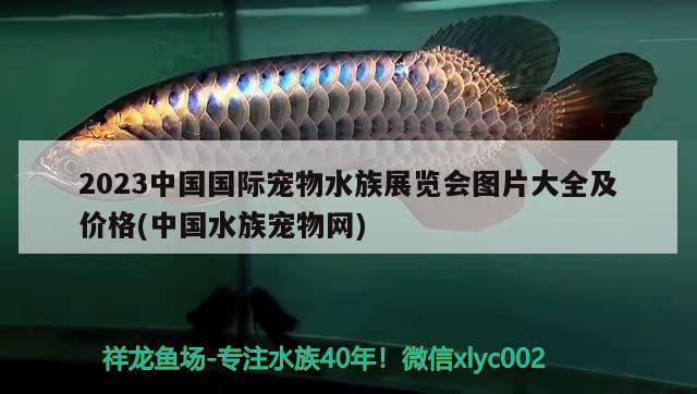 2023中國國際寵物水族展覽會圖片大全及價格(中國水族寵物網(wǎng))