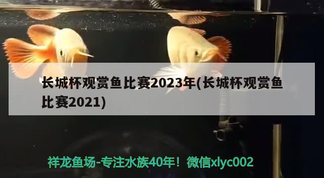 長城杯觀賞魚比賽2023年(長城杯觀賞魚比賽2021)