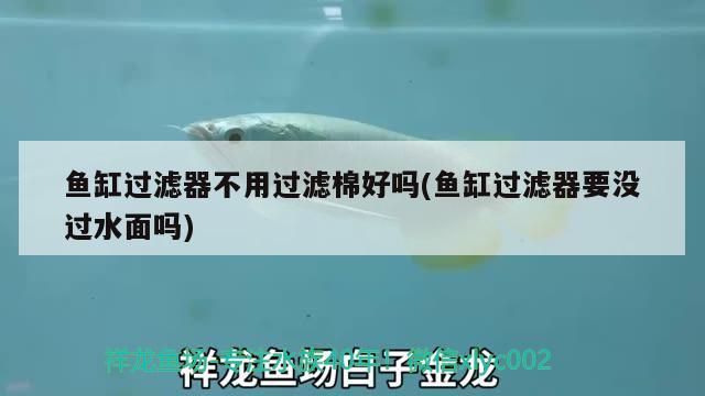 魚缸過濾器不用過濾棉好嗎(魚缸過濾器要沒過水面嗎)