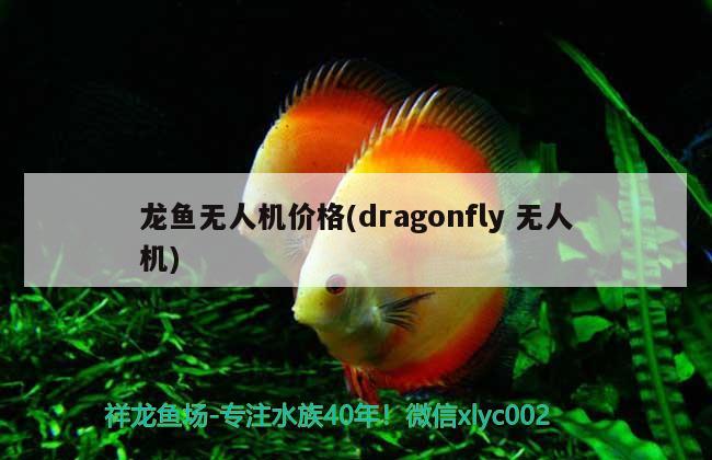 龍魚(yú)無(wú)人機(jī)價(jià)格(dragonfly無(wú)人機(jī))