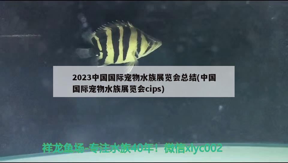 2023中國(guó)國(guó)際寵物水族展覽會(huì)總結(jié)(中國(guó)國(guó)際寵物水族展覽會(huì)cips)