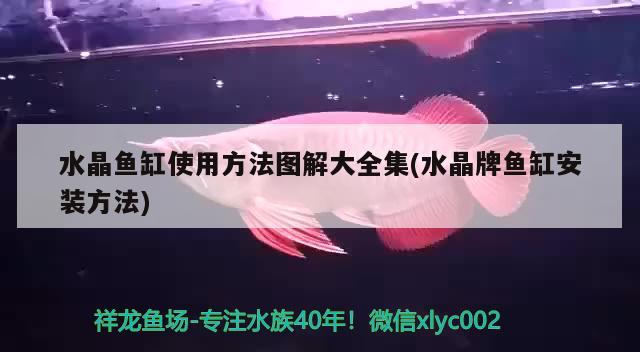 水晶魚缸使用方法圖解大全集(水晶牌魚缸安裝方法) 三間鼠魚苗