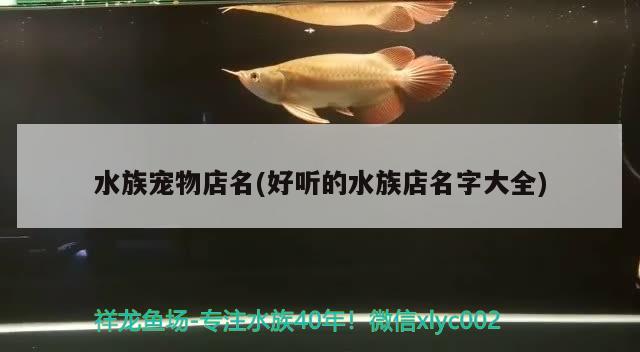 水族寵物店名(好聽的水族店名字大全) 2024第28屆中國國際寵物水族展覽會CIPS（長城寵物展2024 CIPS）