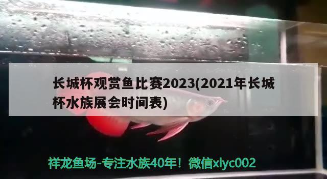 長城杯觀賞魚比賽2023(2021年長城杯水族展會時間表)