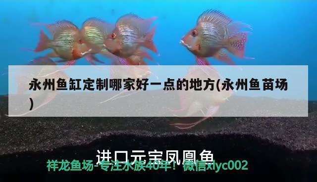 永州魚缸定制哪家好一點的地方(永州魚苗場)