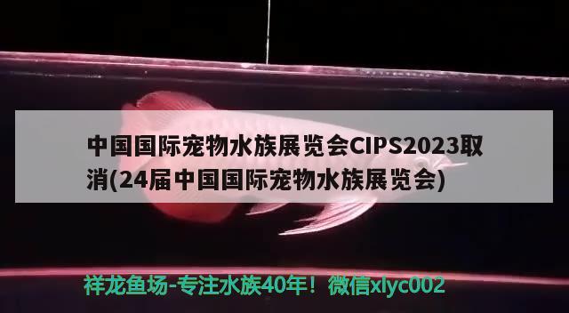 中國(guó)國(guó)際寵物水族展覽會(huì)CIPS2023取消(24屆中國(guó)國(guó)際寵物水族展覽會(huì))