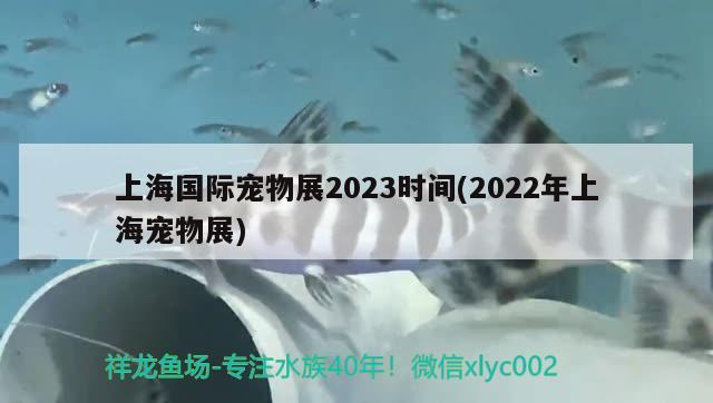 上海國(guó)際寵物展2023時(shí)間(2022年上海寵物展)