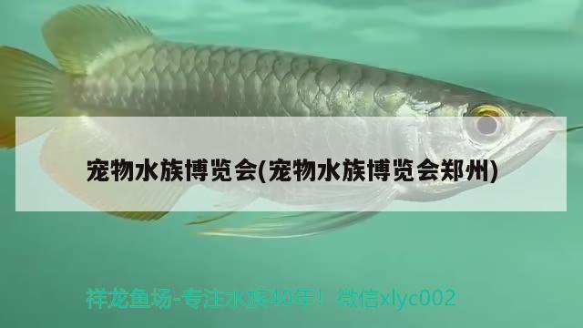 寵物水族博覽會(huì)(寵物水族博覽會(huì)鄭州) 2024第28屆中國(guó)國(guó)際寵物水族展覽會(huì)CIPS（長(zhǎng)城寵物展2024 CIPS）