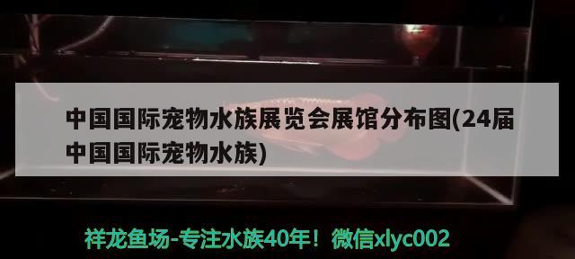 中國(guó)國(guó)際寵物水族展覽會(huì)展館分布圖(24屆中國(guó)國(guó)際寵物水族)