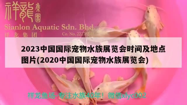 2023中國(guó)國(guó)際寵物水族展覽會(huì)時(shí)間及地點(diǎn)圖片(2020中國(guó)國(guó)際寵物水族展覽會(huì))