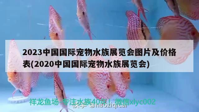 2023中國國際寵物水族展覽會圖片及價格表(2020中國國際寵物水族展覽會)