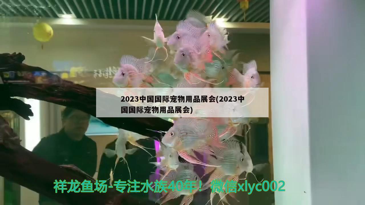 2023中國國際寵物用品展會(2023中國國際寵物用品展會) 2024第28屆中國國際寵物水族展覽會CIPS（長城寵物展2024 CIPS）