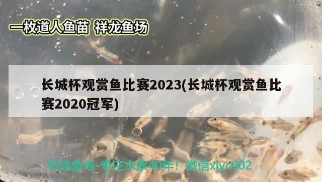 長(zhǎng)城杯觀(guān)賞魚(yú)比賽2023(長(zhǎng)城杯觀(guān)賞魚(yú)比賽2020冠軍)