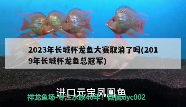 2023年長(zhǎng)城杯龍魚(yú)大賽取消了嗎(2019年長(zhǎng)城杯龍魚(yú)總冠軍)