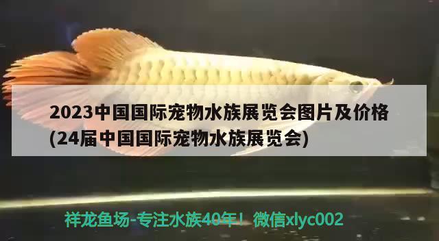 2023中國國際寵物水族展覽會圖片及價格(24屆中國國際寵物水族展覽會)