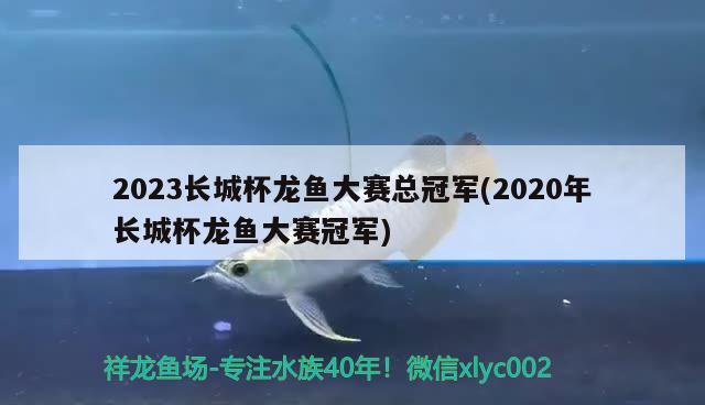 2023長城杯龍魚大賽總冠軍(2020年長城杯龍魚大賽冠軍)