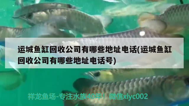 運(yùn)城魚(yú)缸回收公司有哪些地址電話(huà)(運(yùn)城魚(yú)缸回收公司有哪些地址電話(huà)號(hào)) 孵化器