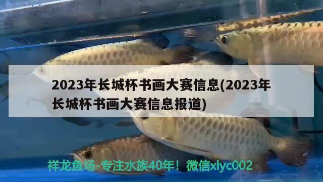 2023年長城杯書畫大賽信息(2023年長城杯書畫大賽信息報道)