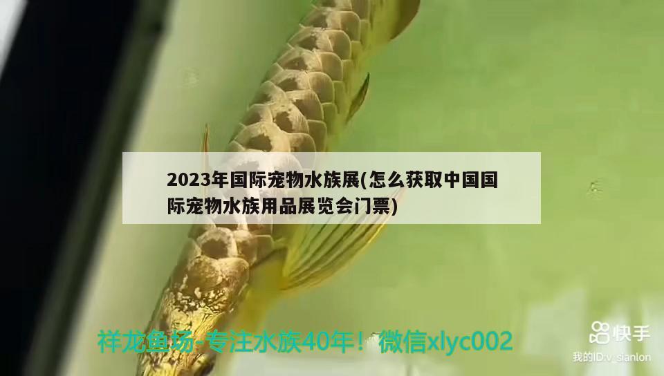 2023年國(guó)際寵物水族展(怎么獲取中國(guó)國(guó)際寵物水族用品展覽會(huì)門(mén)票) 水族展會(huì)