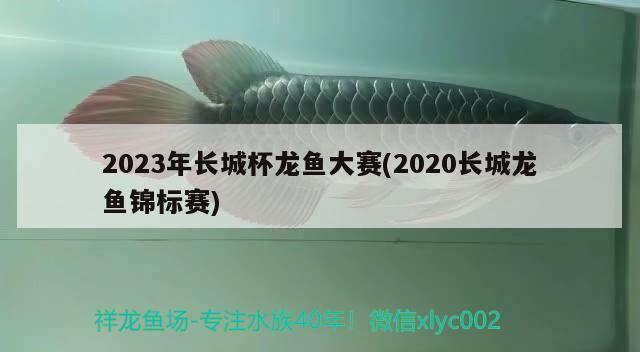 2023年長城杯龍魚大賽(2020長城龍魚錦標賽)