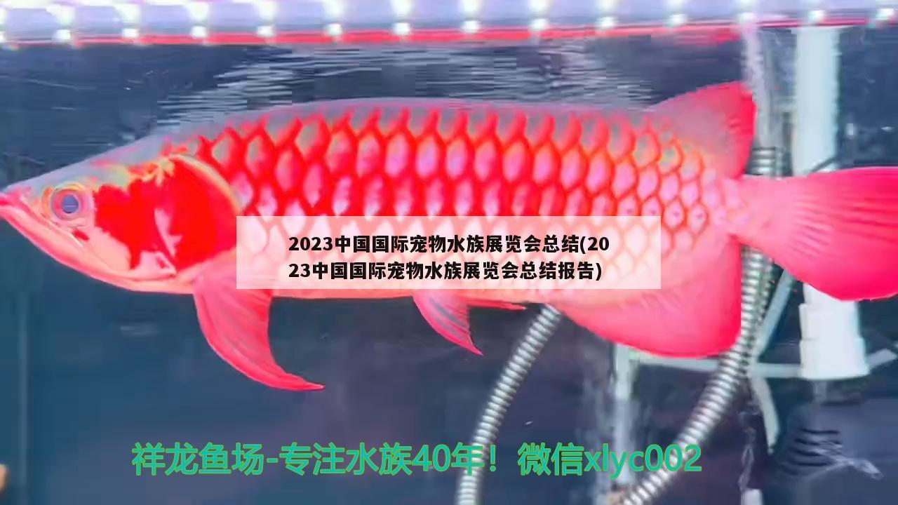 2023中國國際寵物水族展覽會總結(jié)(2023中國國際寵物水族展覽會總結(jié)報告)