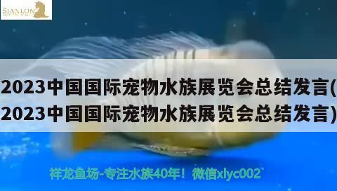 2023中國(guó)國(guó)際寵物水族展覽會(huì)總結(jié)發(fā)言(2023中國(guó)國(guó)際寵物水族展覽會(huì)總結(jié)發(fā)言)