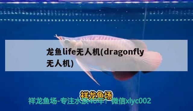 龍魚(yú)life無(wú)人機(jī)(dragonfly無(wú)人機(jī)) 2025第29屆中國(guó)國(guó)際寵物水族展覽會(huì)CIPS（長(zhǎng)城寵物展2025 CIPS）