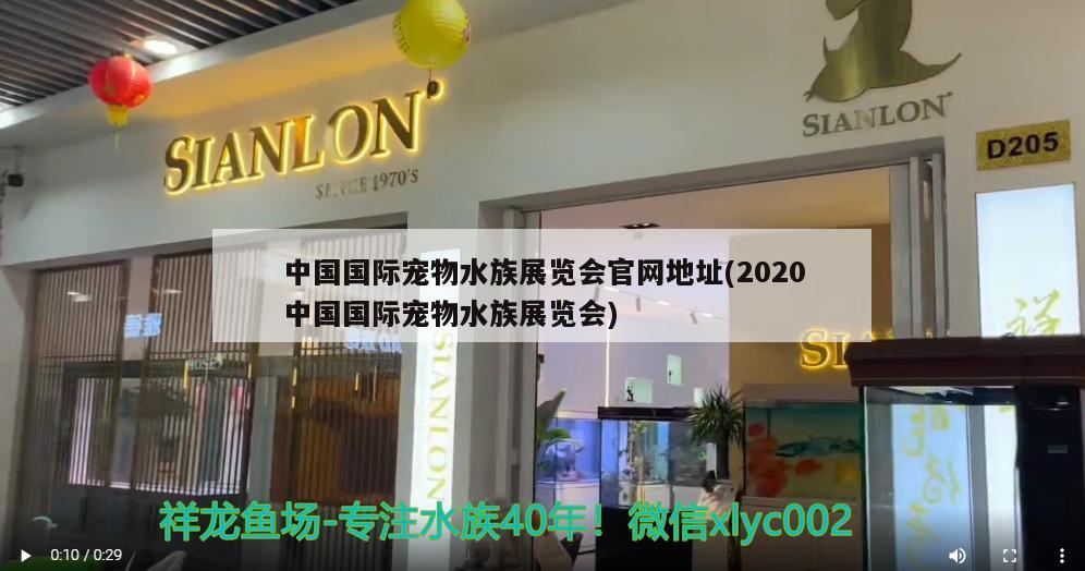 中國國際寵物水族展覽會官網(wǎng)地址(2020中國國際寵物水族展覽會)