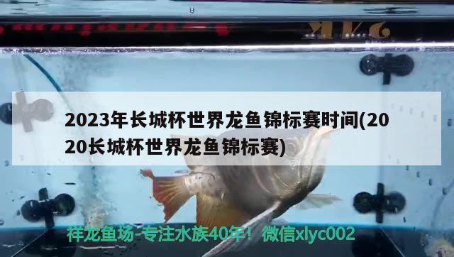 2023年長城杯世界龍魚錦標賽時間(2020長城杯世界龍魚錦標賽) 2024第28屆中國國際寵物水族展覽會CIPS（長城寵物展2024 CIPS）