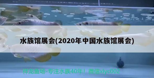 水族館展會(2020年中國水族館展會)