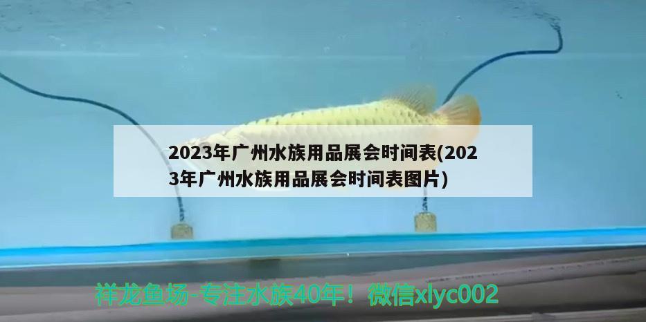 2023年廣州水族用品展會時間表(2023年廣州水族用品展會時間表圖片) 水族用品