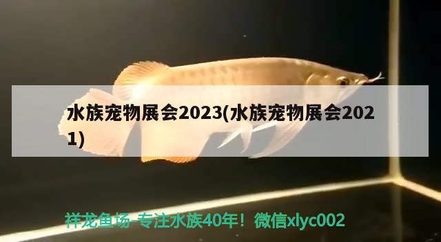 水族寵物展會2023(水族寵物展會2021) 2024第28屆中國國際寵物水族展覽會CIPS（長城寵物展2024 CIPS）