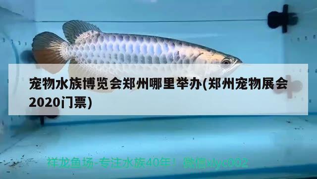 寵物水族博覽會(huì)鄭州哪里舉辦(鄭州寵物展會(huì)2020門票)