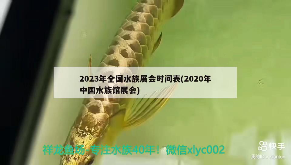 2023年全國水族展會時間表(2020年中國水族館展會)