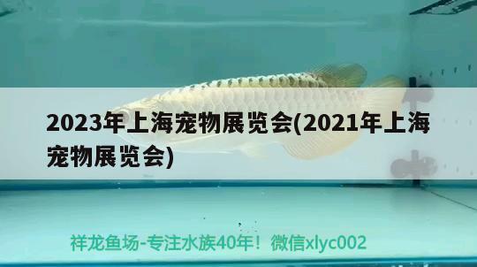 2023年上海寵物展覽會(2021年上海寵物展覽會)