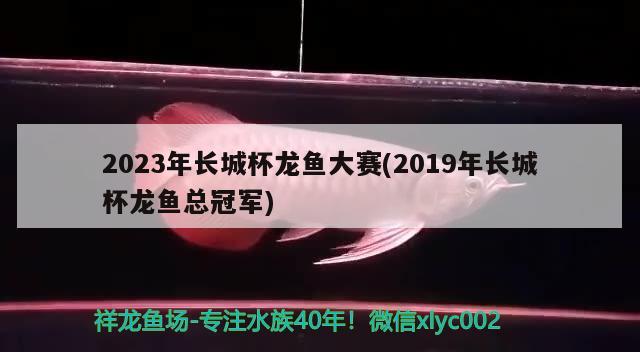 2023年長城杯龍魚大賽(2019年長城杯龍魚總冠軍)