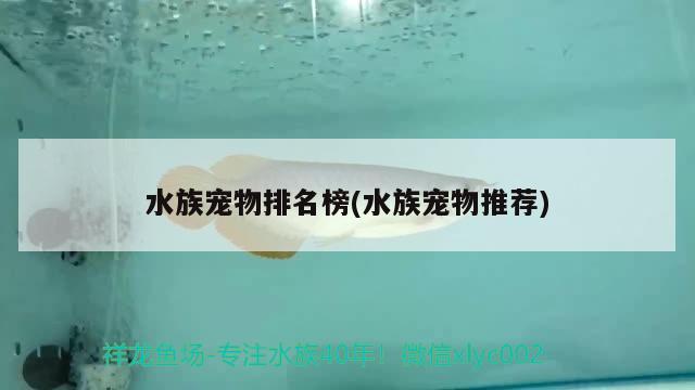 水族寵物排名榜(水族寵物推薦) 2024第28屆中國國際寵物水族展覽會CIPS（長城寵物展2024 CIPS）