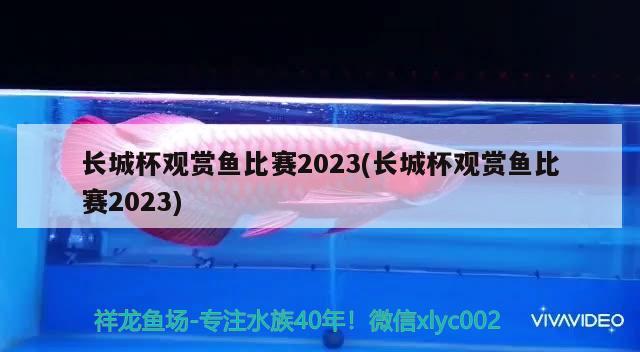 長(zhǎng)城杯觀賞魚(yú)比賽2023(長(zhǎng)城杯觀賞魚(yú)比賽2023) 2025第29屆中國(guó)國(guó)際寵物水族展覽會(huì)CIPS（長(zhǎng)城寵物展2025 CIPS）