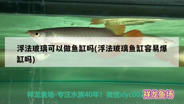 浮法玻璃可以做魚缸嗎(浮法玻璃魚缸容易爆缸嗎) 三色錦鯉魚