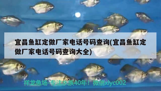 宜昌魚(yú)缸定做廠家電話號(hào)碼查詢(宜昌魚(yú)缸定做廠家電話號(hào)碼查詢大全)