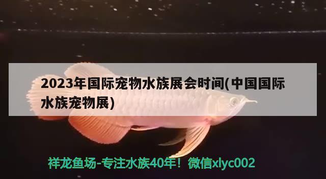 2023年國際寵物水族展會時間(中國國際水族寵物展) 水族展會