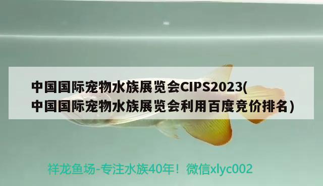 中國(guó)國(guó)際寵物水族展覽會(huì)CIPS2023(中國(guó)國(guó)際寵物水族展覽會(huì)利用百度競(jìng)價(jià)排名) 水族展會(huì)