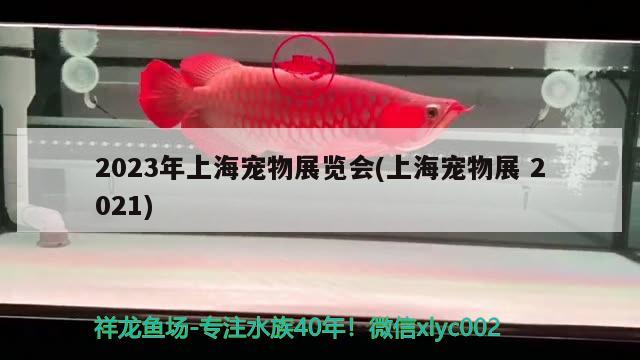 2023年上海寵物展覽會(上海寵物展2021)