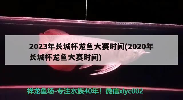 2023年長(zhǎng)城杯龍魚大賽時(shí)間(2020年長(zhǎng)城杯龍魚大賽時(shí)間) 2024第28屆中國(guó)國(guó)際寵物水族展覽會(huì)CIPS（長(zhǎng)城寵物展2024 CIPS）