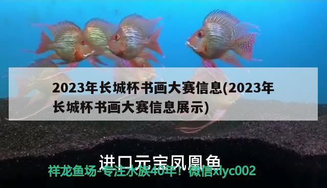 2023年長城杯書畫大賽信息(2023年長城杯書畫大賽信息展示)