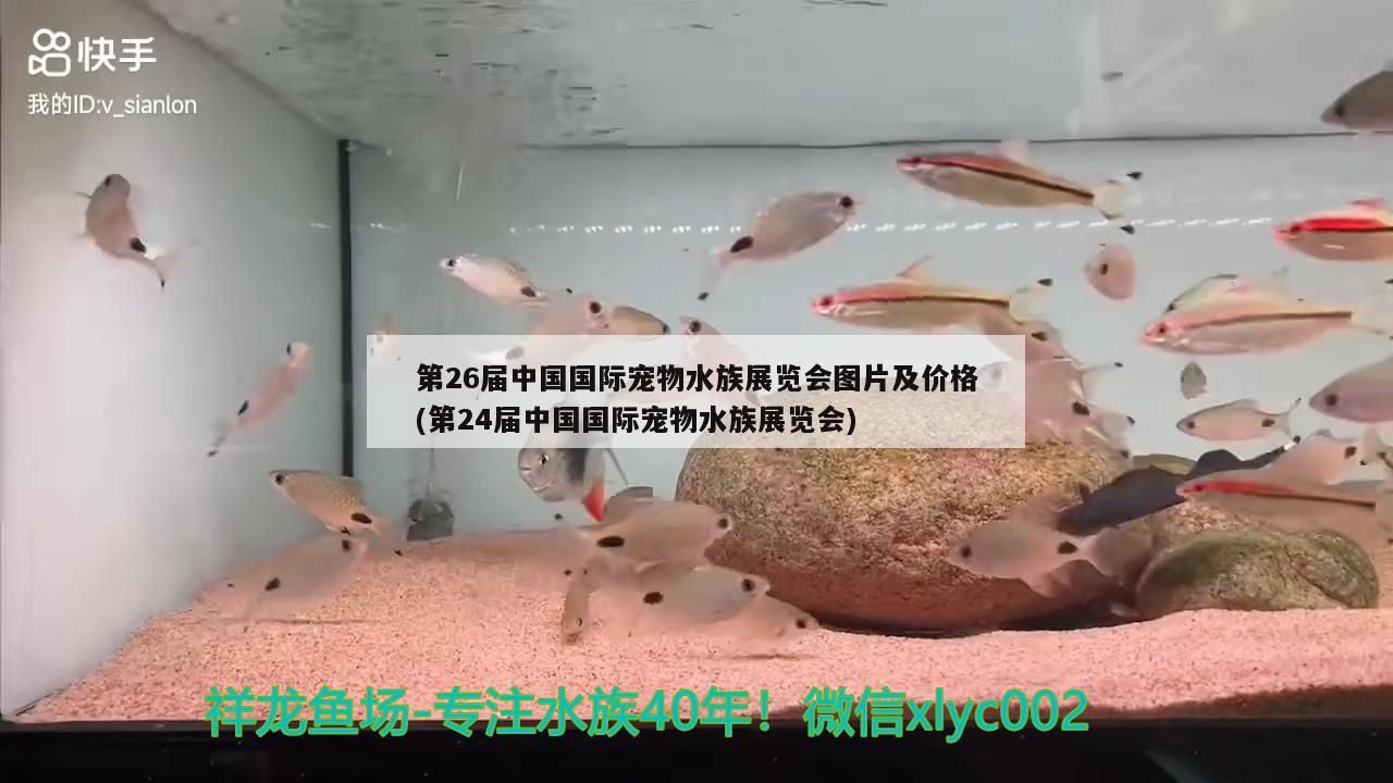 第26屆中國(guó)國(guó)際寵物水族展覽會(huì)圖片及價(jià)格(第24屆中國(guó)國(guó)際寵物水族展覽會(huì)) 水族展會(huì)